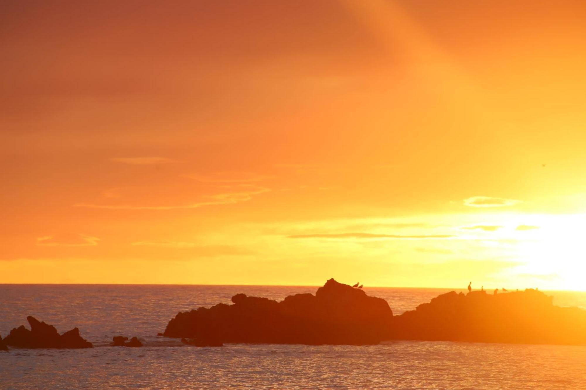 Sierra Beachfront Motel Kaikoura Kültér fotó