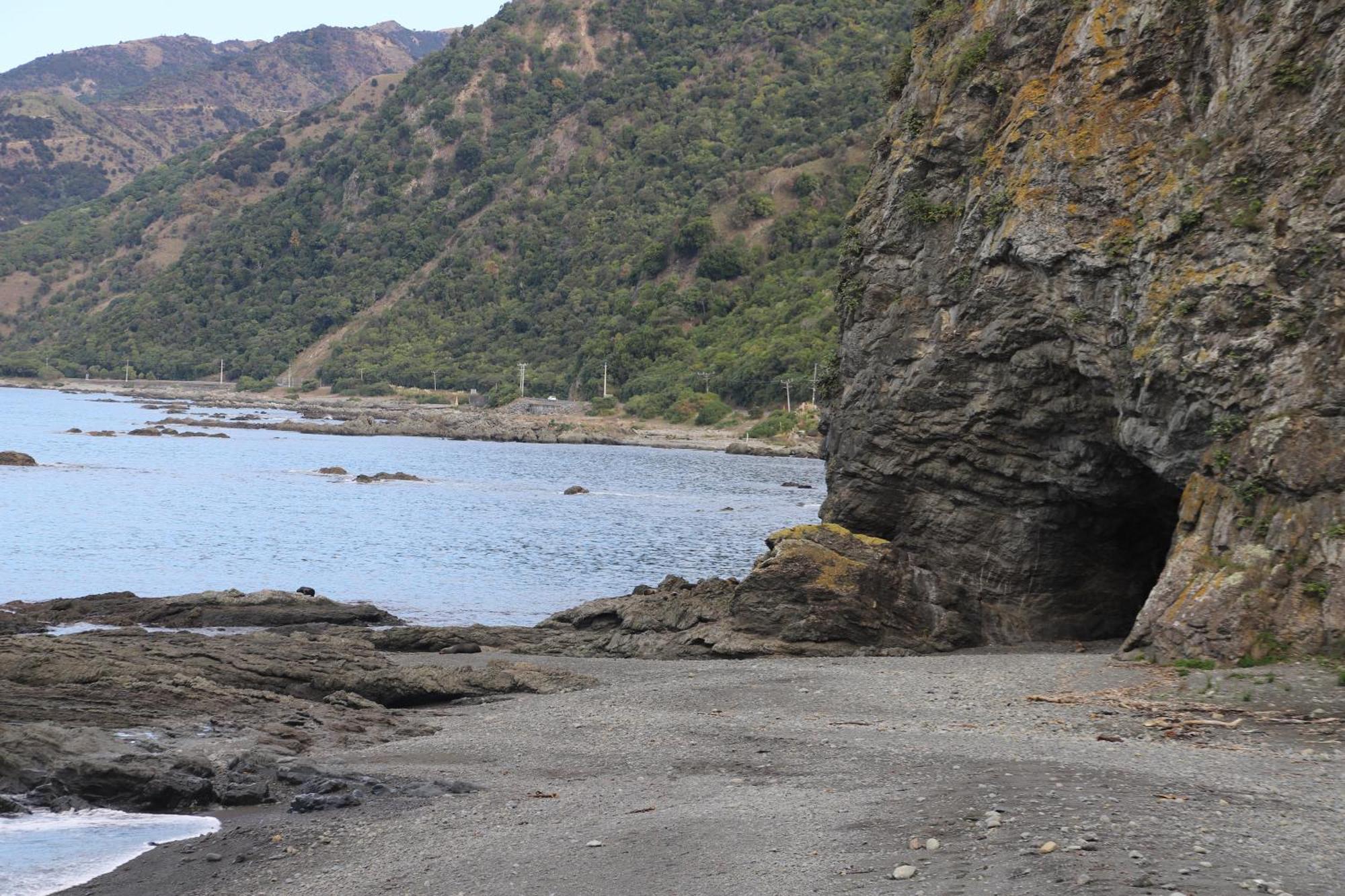 Sierra Beachfront Motel Kaikoura Kültér fotó