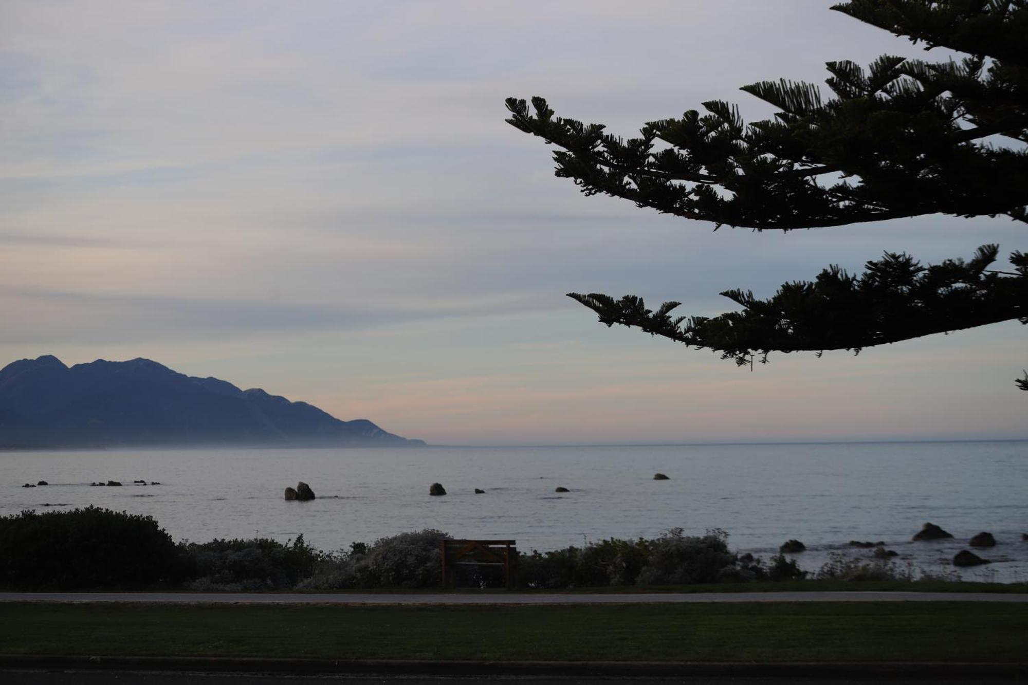 Sierra Beachfront Motel Kaikoura Kültér fotó